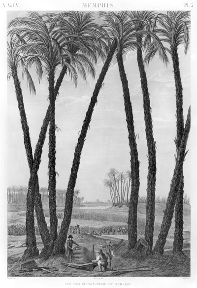 Vue des ruines de Memphis depuis le sud-est, gravée par Jean Louis Delignon (1755-1804) - Andre Dutertre